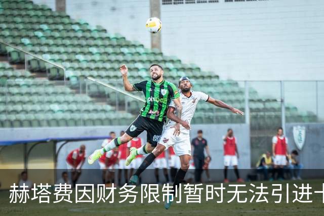 赫塔费因财务限制暂时无法引进卡瓦哈尔